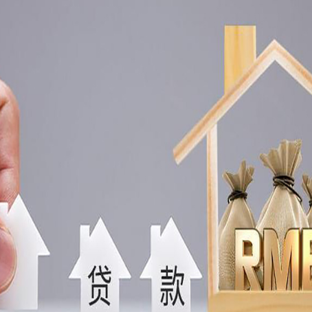 龙文贷款中介公司新渝启服推荐